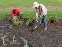 volunteers